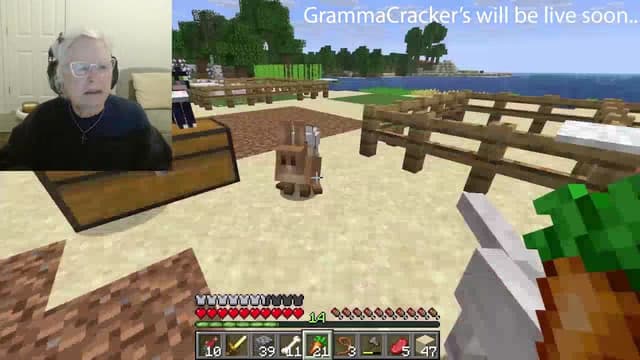 Minecraft Grandma Fund